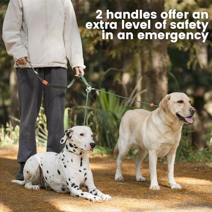 Howgo Double Slip Leash Slip Lead | Dual Dog Lead for 2 Dogs,360° Swivel No Tangle | Dog Training Nylon Leash and Collar | Double Clip Coupler and Splitter | Lightweight Aluminum (MintGreen, 3FT)