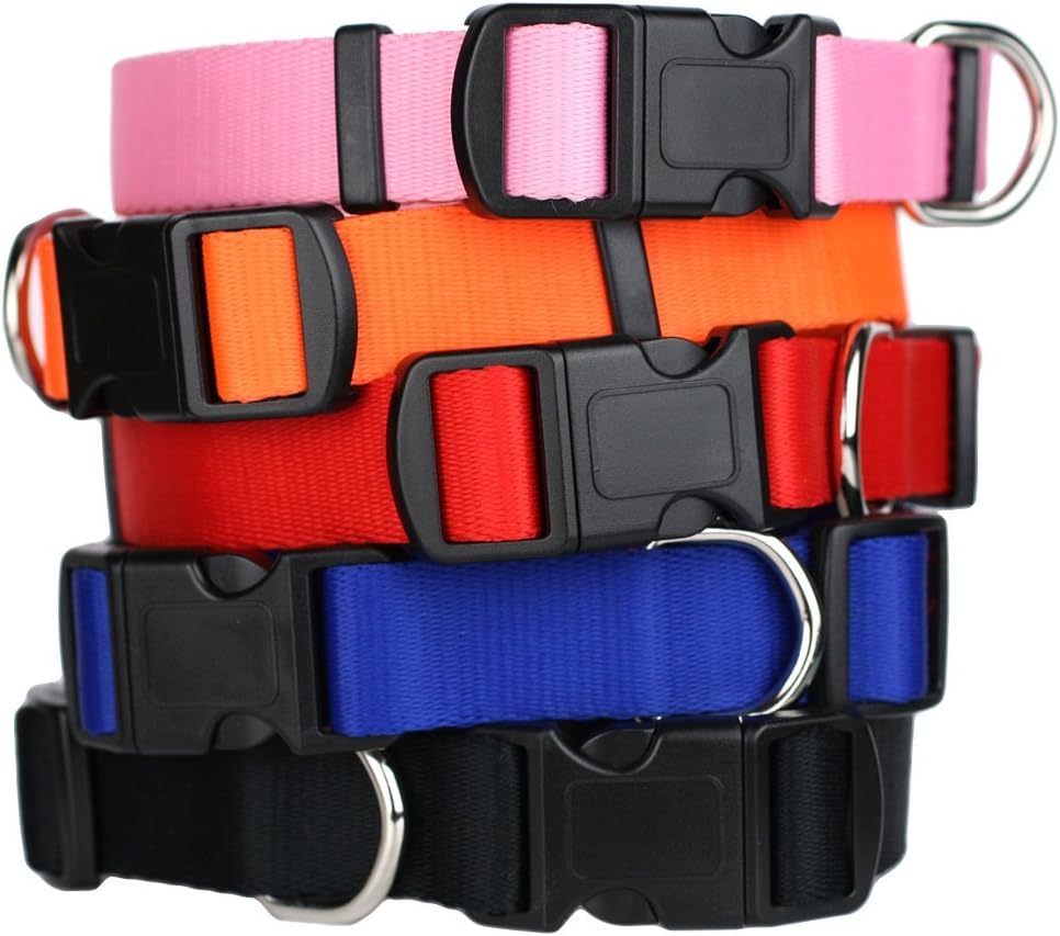 GoTags Dog Collars, Durable Solid Nylon Dog Collars in 5 Color Options and 4 Adjustable Sizes for Puppy and Dogs Extra Small, Small, Medium or Large