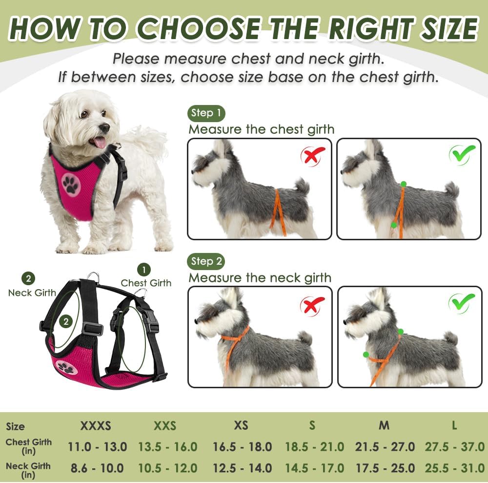 SlowTon Dog Seat Belt Harness for Car, Dog Car Harness Adjustable Mesh Breathable & Dog Seatbelt Safety Tether with Elastic Bungee for Small Medium Large Pets(Fuchsia, Double Clip, XS)