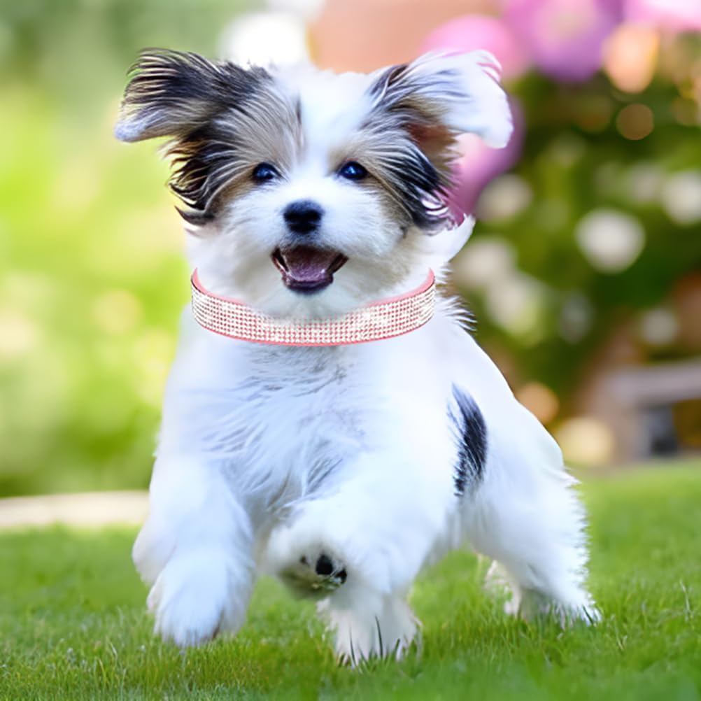 Rhinestone Dog Collar for Small Dogs, Bling Diamond Fancy Crystal Glitter Pretty Jewel Pet Puppy Collars for XXS XS Small Medium Large Breed Girl Dogs Female Cats Kitten, Colorful Hot Pink S