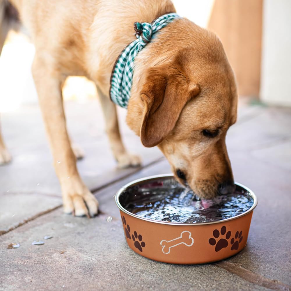 Loving Pets Bella Dog Bowls- Stainless Steel Dog & Cat Bowls - Spill Proof Dog Food Bowl, Cat Bowl, Puppy Essentials & Pet Supplies Great for Home & Travel (Large 35-65 lbs, Copper)