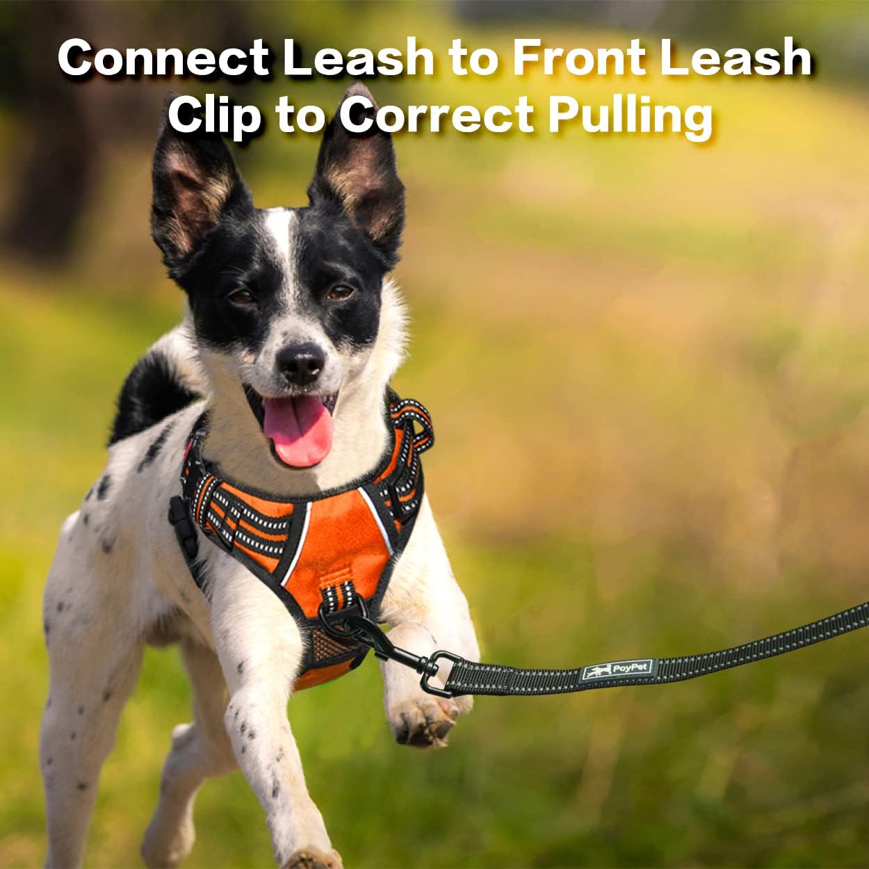 PoyPet No Pull Dog Harness, No Choke Front Clip Reflective Dog Vest with Soft Padded Vertical Handle, 3 Leash Attachments for Small Medium Large Dogs (Orange,M)
