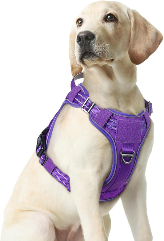 rabbitgoo Dog Harness Medium Sized No Pull, Tactical Service Pet Vest with Molle and Control Handle, Adjustable and Reflective Military Harness for Easy Walking and Training, Purple, M