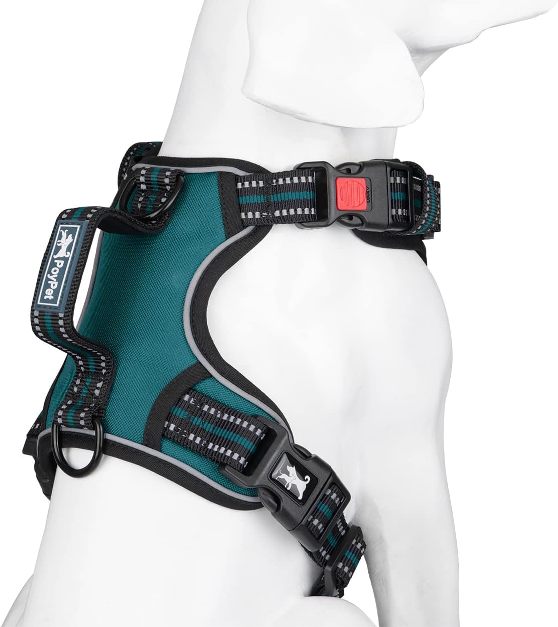 PoyPet No Pull Dog Harness, No Choke Front Clip Reflective Dog Vest with Soft Padded Vertical Handle, 3 Leash Attachments for Small Medium Large Dogs (Tumalo Teal,M)