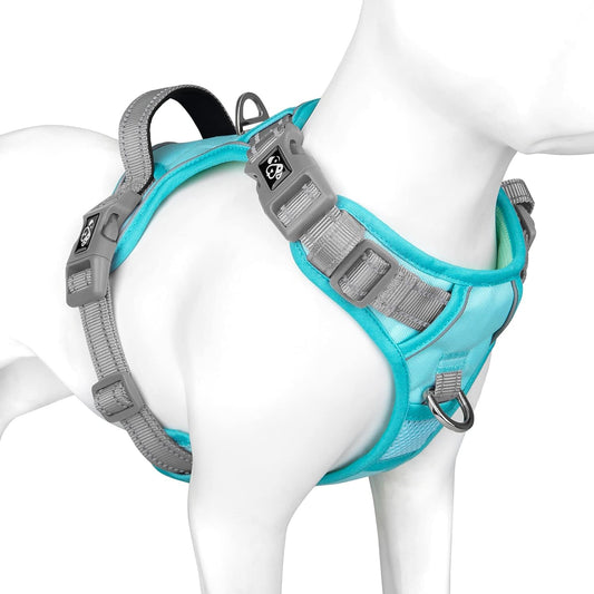 PHOEPET No Pull Dog Harness, Unique Colors Reflective Adjustable Dog Vest, with Soft Training Handle Metal Clips for Small Medium Large Dogs (Mint Green Base & Grey Straps,XL)