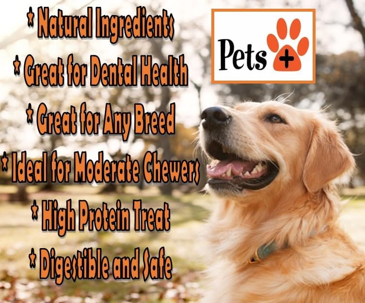 Pets Plus Beef Trachea Dog Chews – 6-Inch, Medium Size, 2 Pack | All-Natural, Grain-Free, High-Protein Dog Treats, Long-Lasting Chews for Dental Health & Joint Support