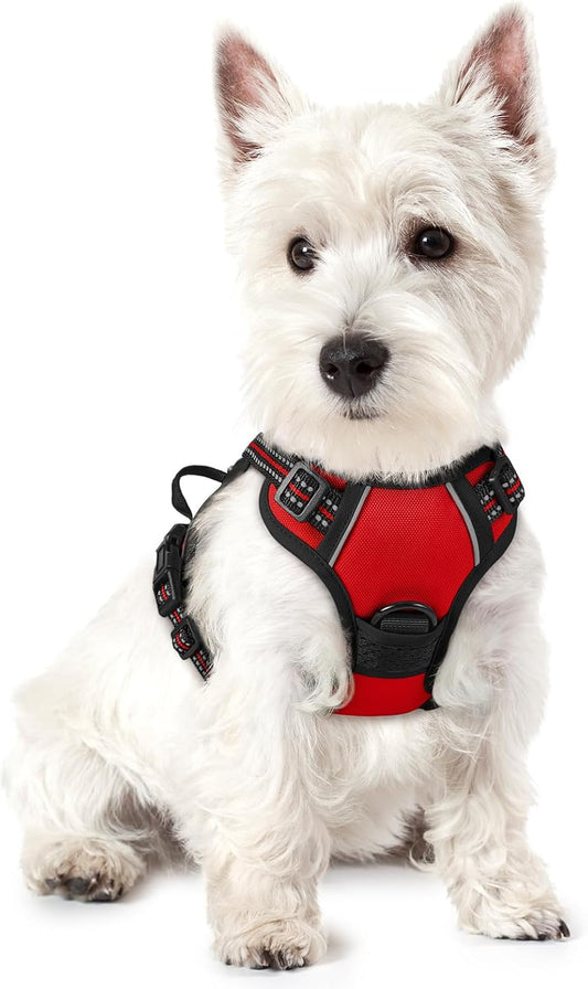 rabbitgoo Dog Harness No Pull with 2 Leash Clips, Adjustable Soft Padded, Reflective Oxford No Choke Pet Vest with Easy Control Handle for Puppy, Red,XS