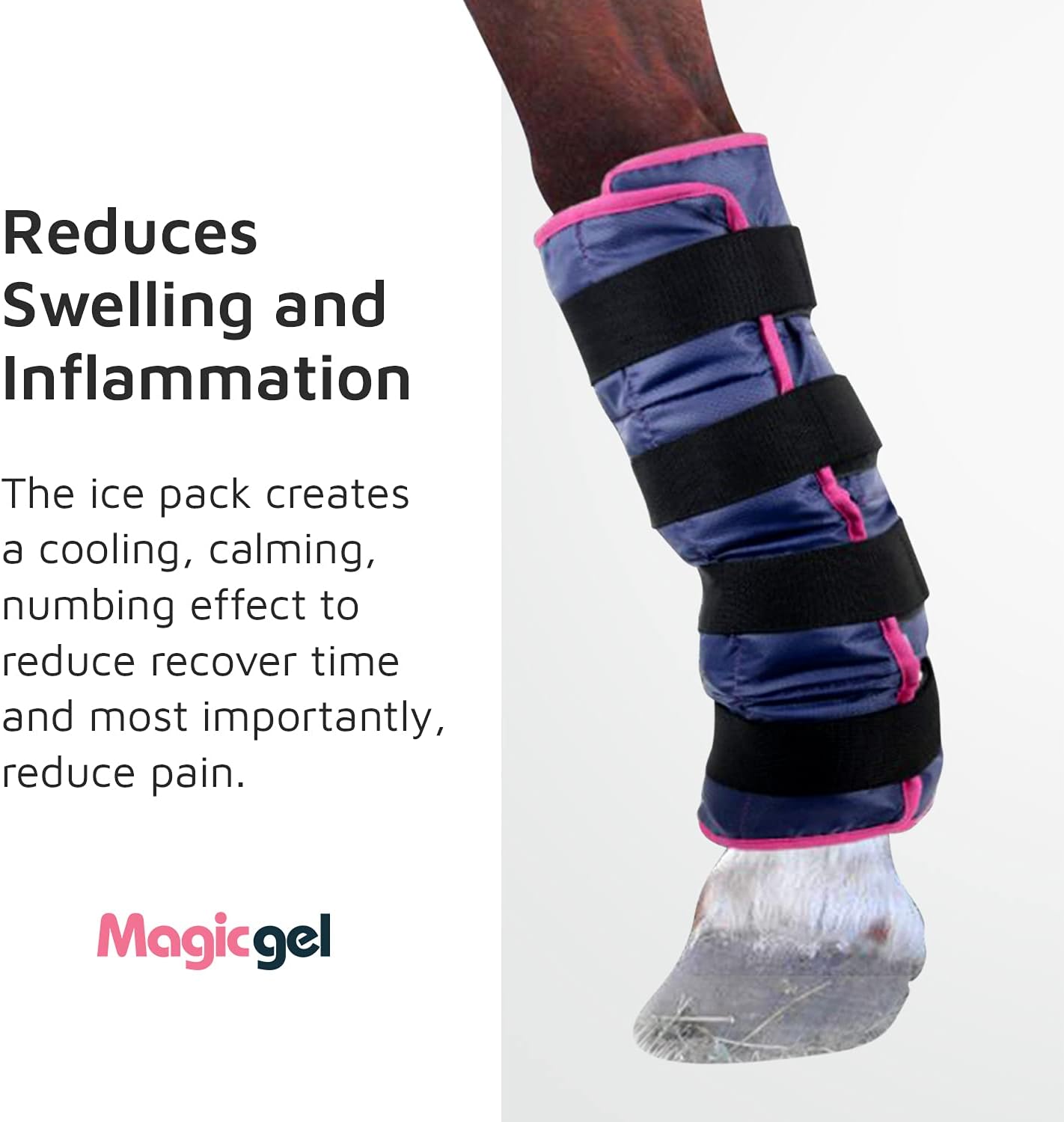 Magic Gel Horse Ice Pack with Carry Case - Single Ice Boots | Cooling Horse Leg Wraps for Hock, Ankle, Knee, Legs, Boots, and Hooves | Horse Tack & Horse Supplies & Ideal Gift for Horse Lovers Women