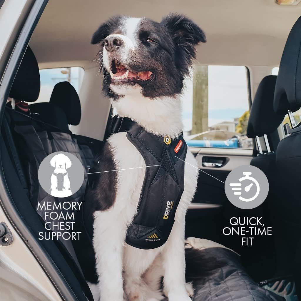 Ezydog Drive Dog Car Harness – Crash Tested and Certified (US-FMVSS 213) Dog Seat Belt Harness for Safe Travel, Adjustable with Padded Comfort (Medium)