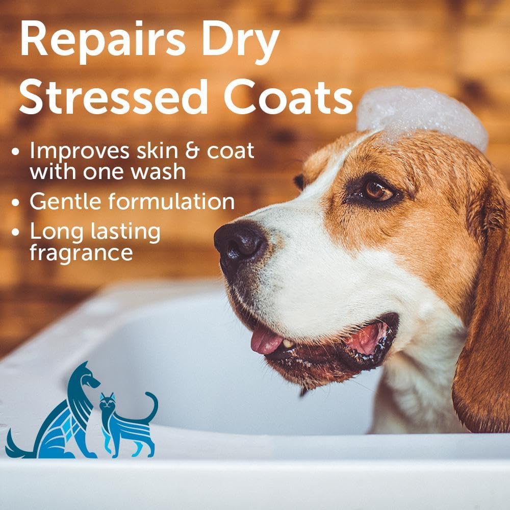 Nootie Sweet Pea and Vanilla Shampoo Gallon