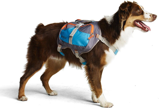 Cesar Millan Dog Backpack Large Blue