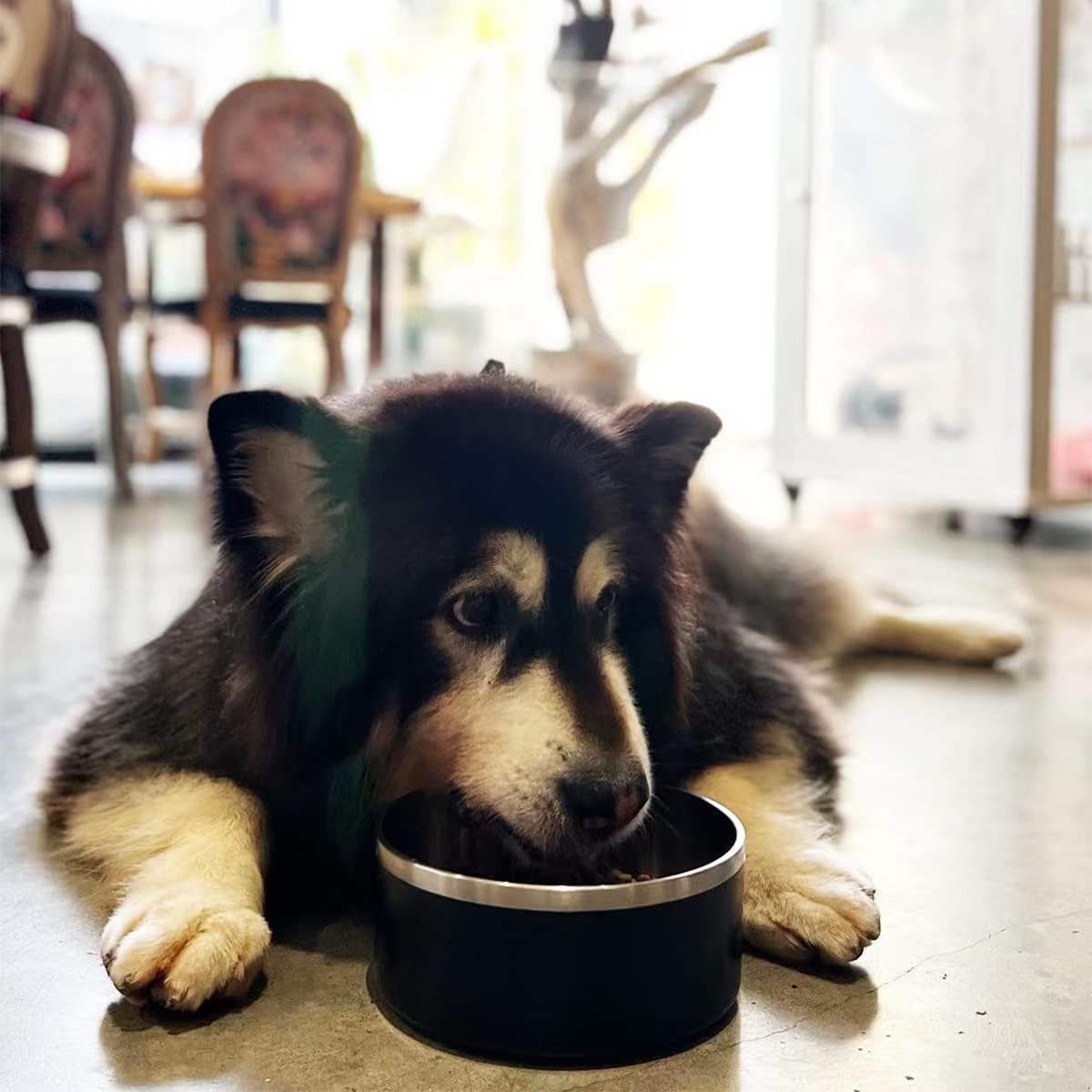 IKITCHEN Dog Bowl for Food and Water, 64 Oz Stainless Steel Pet Feeding Bowl, Durable Non-Skid Double Wall Insulated Heavy Duty with Rubber Bottom for Medium Large Sized Dogs (64 Ounces/8 Cup, Black)