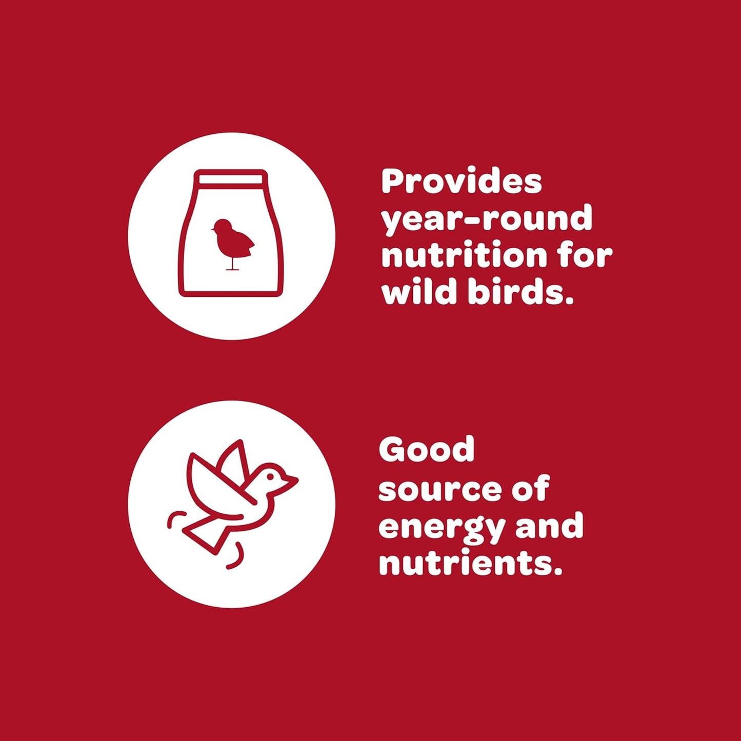 Kaytee Wild Bird Finch Food Blend, 3 lb