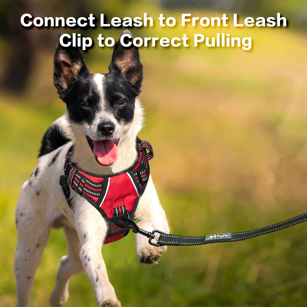 PoyPet No Pull Dog Harness, No Choke Front Clip Reflective Dog Vest with Soft Padded Vertical Handle, 3 Leash Attachments for Small Medium Large Dogs (Red,XL)