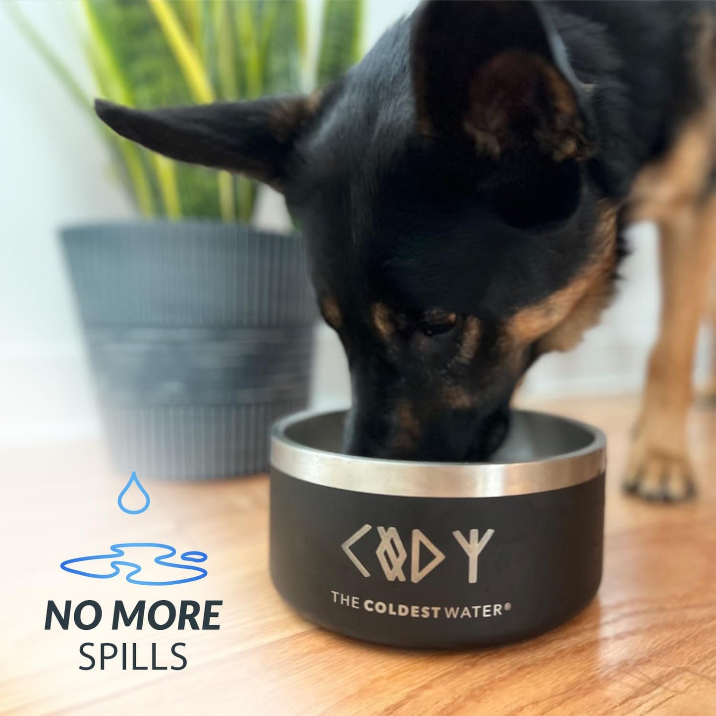 Coldest Dog Bowl - Anti Rust Metal, Non Slip, 3 Layers Insulated Stainless Steel Dog Bowls - Spill Proof & Heavy Duty - Water Bowl for Dogs, Cats & Pets, Dish Washer Safe (64 oz, Epic White)