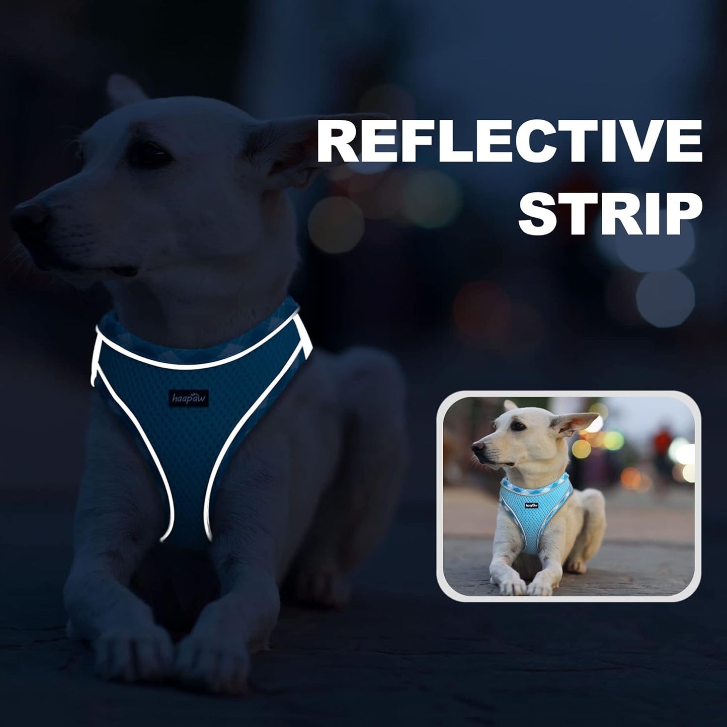 haapaw Dog Harness with Leash Set, No Pull Adjustable Reflective Step-in Puppy Harness with Thickened Padded Vest for Extra-Small/Small Medium Dogs