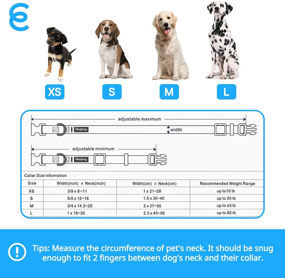 Blueberry Pet Essentials Small Dog Collar in Fuchsia Pink | Adjustable & Eco-Friendly Durable Nylon Strap | Classic Collar for Small Dogs, Boy & Girl Pets