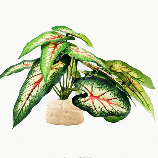 Reptile Plants for Terrarium Decor,Amphibian Habitat Decor, Bearded Dragon Tank Accessories,Artificial Plants for Gecko Chameleon Snake Tortoise with Base (Alocasia odora)