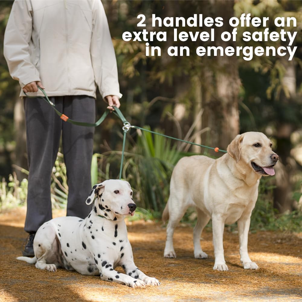 Howgo Double Slip Leash Slip Lead with Two Handles| Dual Dog Slip Lead for 2 Dogs,360° Swivel No Tangle | Dog Training Collar | Double Clip Leash Coupler and Splitter (MintGreen, 6FT)