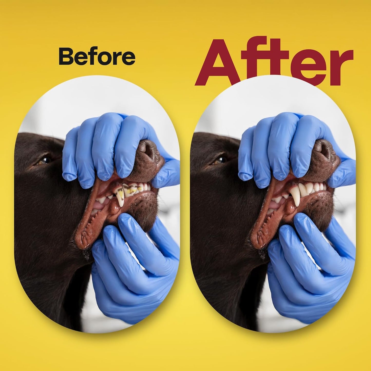 DOCO Dog Teeth Cleaning Wipes Dental Finger Wipes for Cats & Dogs Remove Plaque & Tartar, Freshen Breath, No Rinse, Easy & Effective Pet Tooth Cleaning Kit for Oral Care, Chicken Flavor, 50 Count