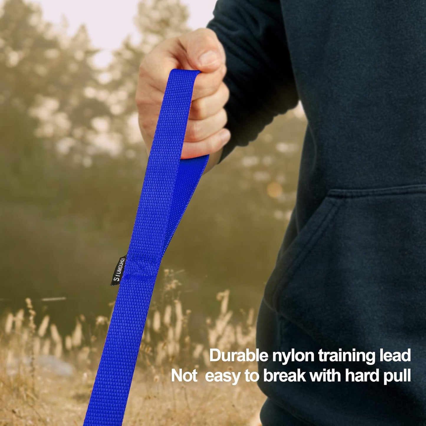 Dog/Puppy Obedience Recall Training Agility Lead - 30ft Long Training Leash，3/4in Wide - Great for Play, Camping, or Backyard（Blue，30 Feet