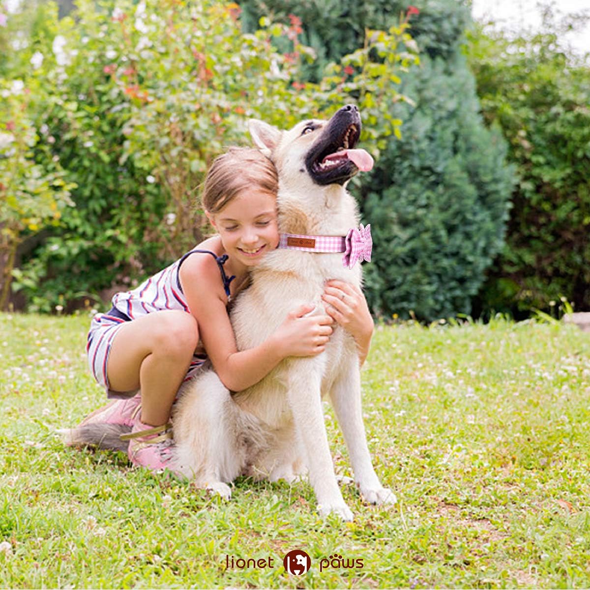Lionet Paws Dog Collar with Bowtie, Comfortable Adjustable Cute Pink Gingham Bow Tie Collar for Female Puppies and Cats Gift, XS, Neck 8-12 inches