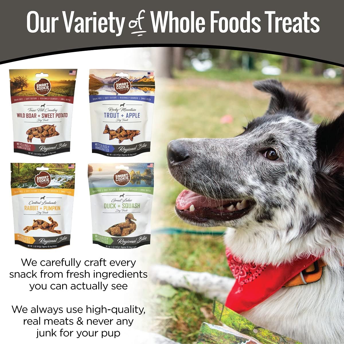 Smart Cookie All Natural Soft Dog Treats - 4 Flavor Variety Pack (5oz Each) - Healthy Dog Treats for Dogs & Puppies with Allergies, Sensitive Stomachs - Chewy, Grain Free, Made in USA