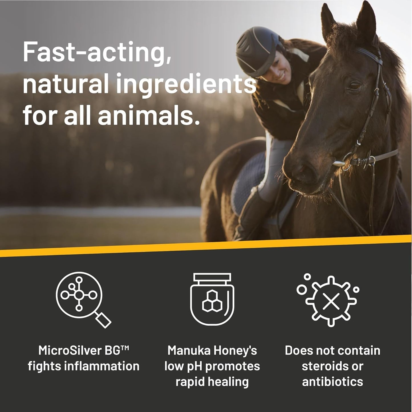 Absorbine Silver Honey Rapid Wound Repair Ointment, Manuka Honey & MicroSilver BG, Veterinarian Tested Horse & Animal Wound Care, 2oz Tube