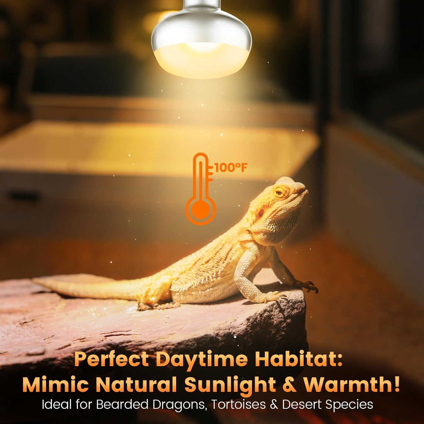 Dual Reptile Lamp Fixture with 100W Daytime Heat & 100W Nighttime Infrared Heat Bulbs, 2 Independent Switches, Reptile Heat Lamp Combo Pack - No UVB