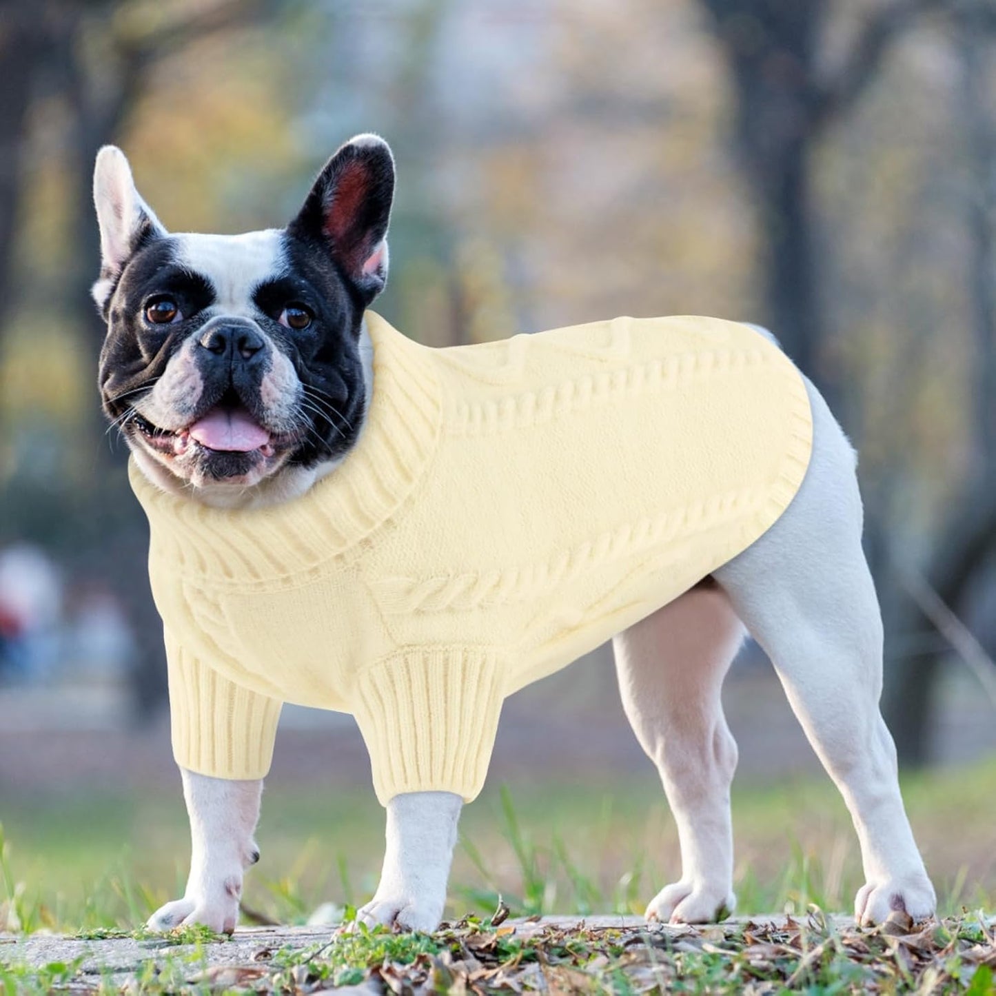 Queenmore Small Dog Pullover Sweater, Cold Weather Cable Knitwear, Classic Turtleneck Thick Warm Clothes for Chihuahua, Bulldog, Dachshund, Pug (White, X-Small)