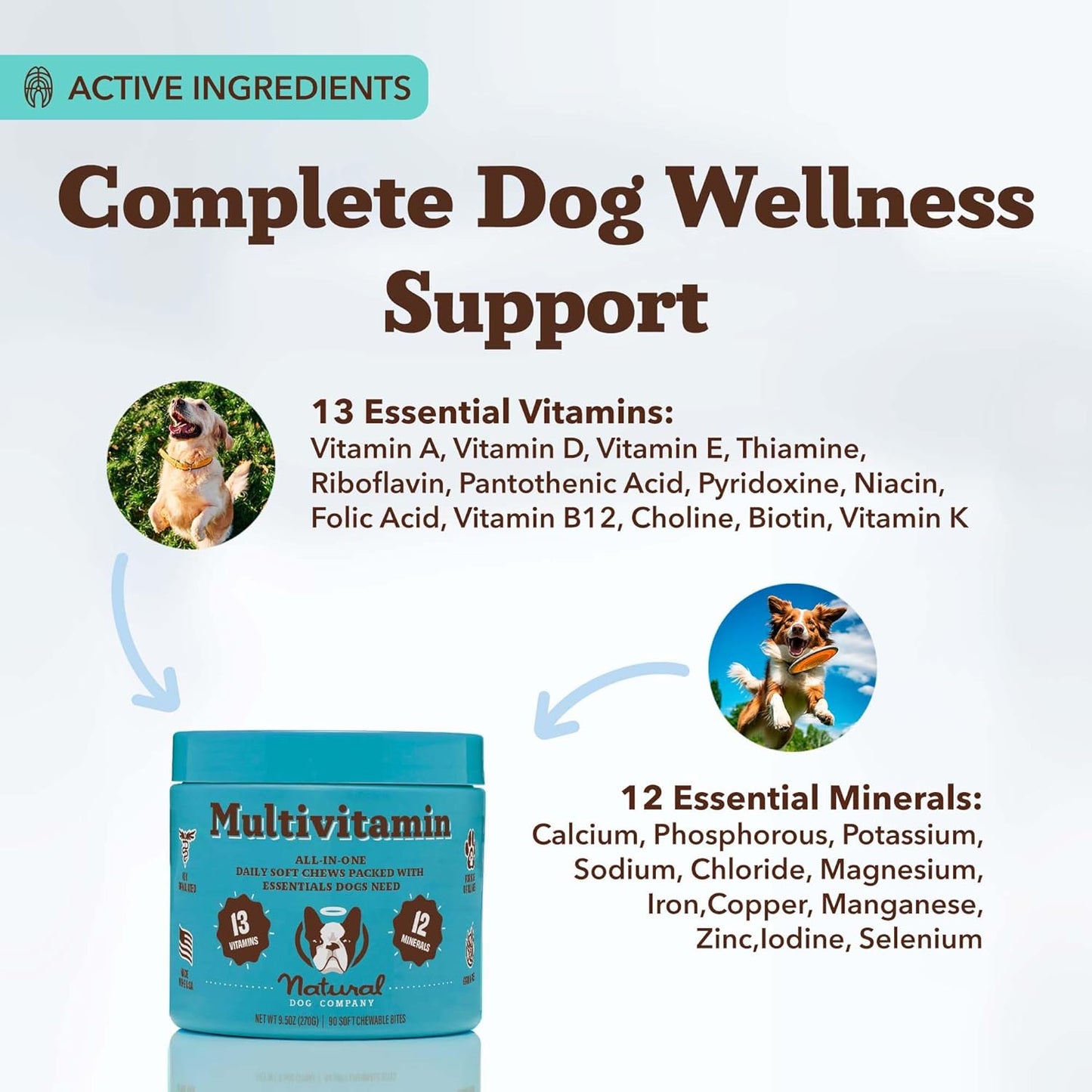 Natural Dog Company 25-in-1 Multivitamin Chews for Dogs – 180 Count Value Pack – Daily Soft Dog Vitamins with Antioxidants, Zinc & Folic Acid – Supports Joints, Skin & Coat, Immune & Heart Health