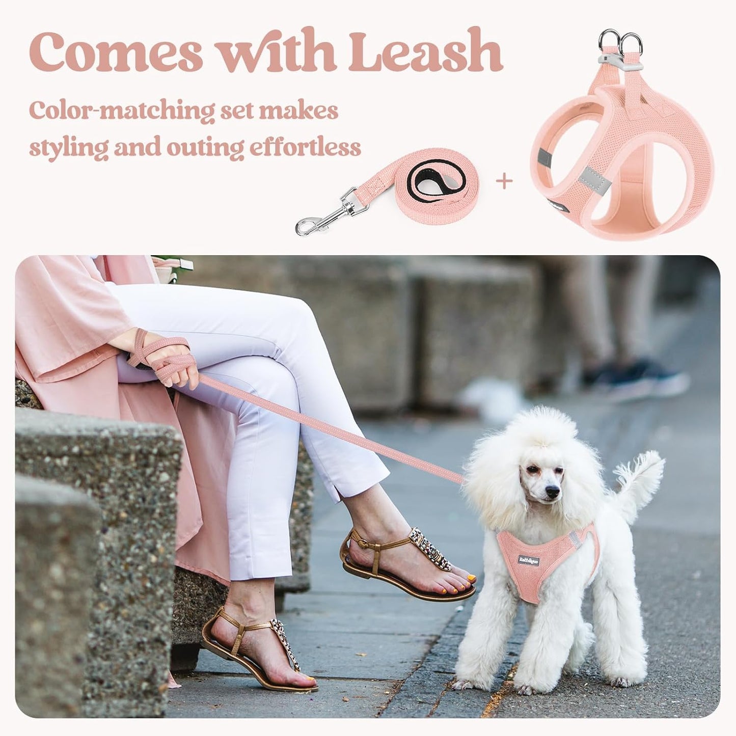 rabbitgoo Dog Harness Small Sized and Leash Set, Step in Soft Light Puppy Vest, Breathable Mesh Pet Harness, Reflective for Safe Outdoor Walking, Pink XXS