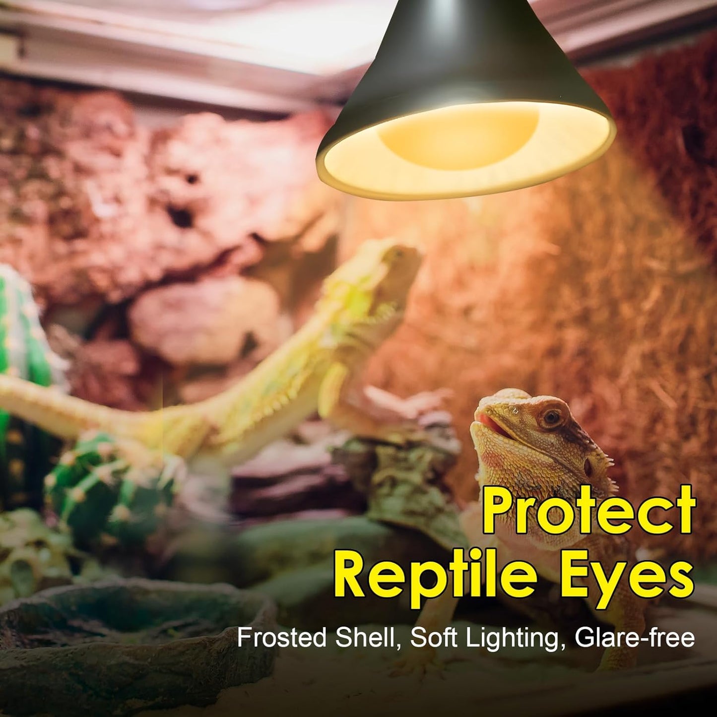 MIXJOY 2Pack Reptile Heat Lamp Bulbs 100W, 60% Intense Heat Bulb UVA Daylight Basking Spot Bulb for Reptiles, Turtle, Lizard, Tortoise, Bearded Dragon, Gecko, Chicken