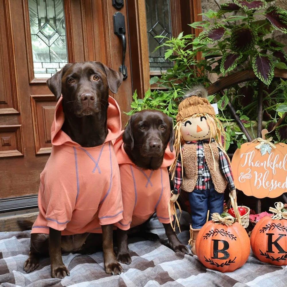 Blueberry Pet Dog Hoodie – 20″ Cotton‑Blend Mid‑Weight Sweatshirt with Hood, Award‑Winning Small‑Dog Jacket, Machine‑Washable