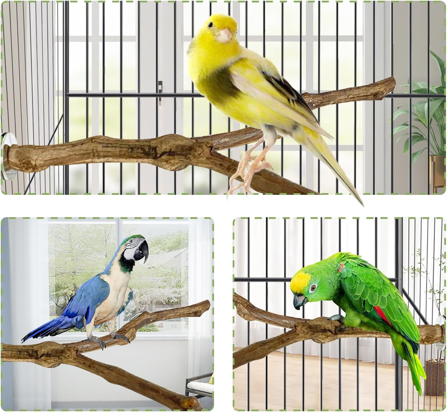 kathson Natural Parrot Perch Bird Stand Pole Wild Grape Stick Paw Grinding Fork Parakeet Climbing Standing Branches Toy Chewable Cage Accessories for Small Budgies Cockatiels Lovebirds 3PCS