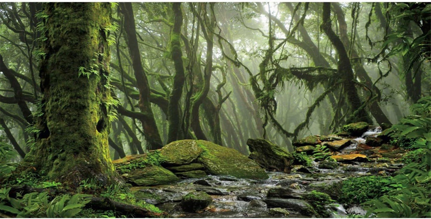 AWERT Foggy Forest Terrarium Background Stream Green Huge Tree Reptile Habitat Background Tropical Rainforest Aquarium Background 36x20 inches Durable Polyester Background