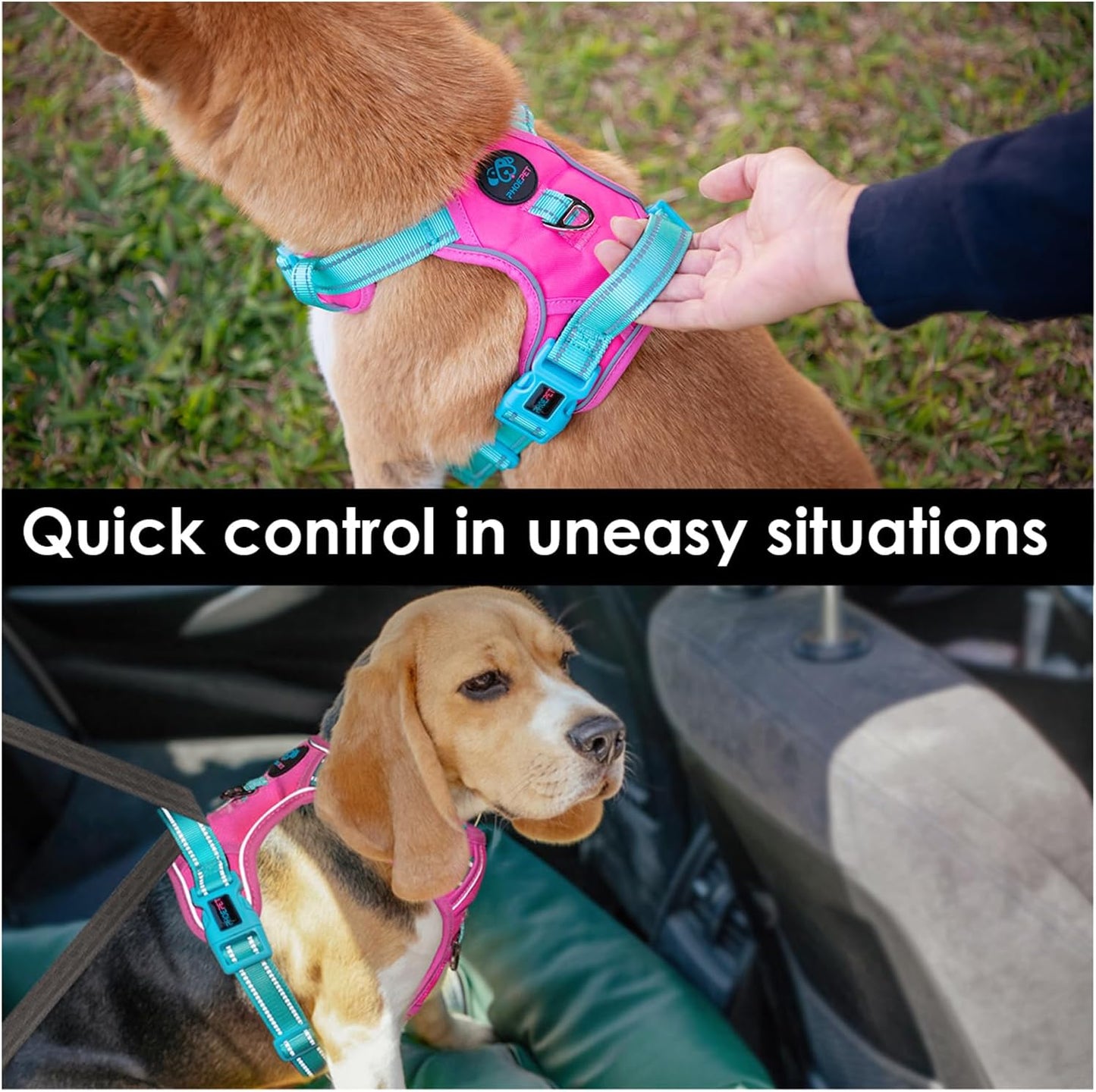 PHOEPET No Pull Dog Harness, Unique Colors Reflective Adjustable Dog Vest, with Soft Training Handle Metal Clips for Small Medium Large Dogs (Pink Base & Green Straps,L)