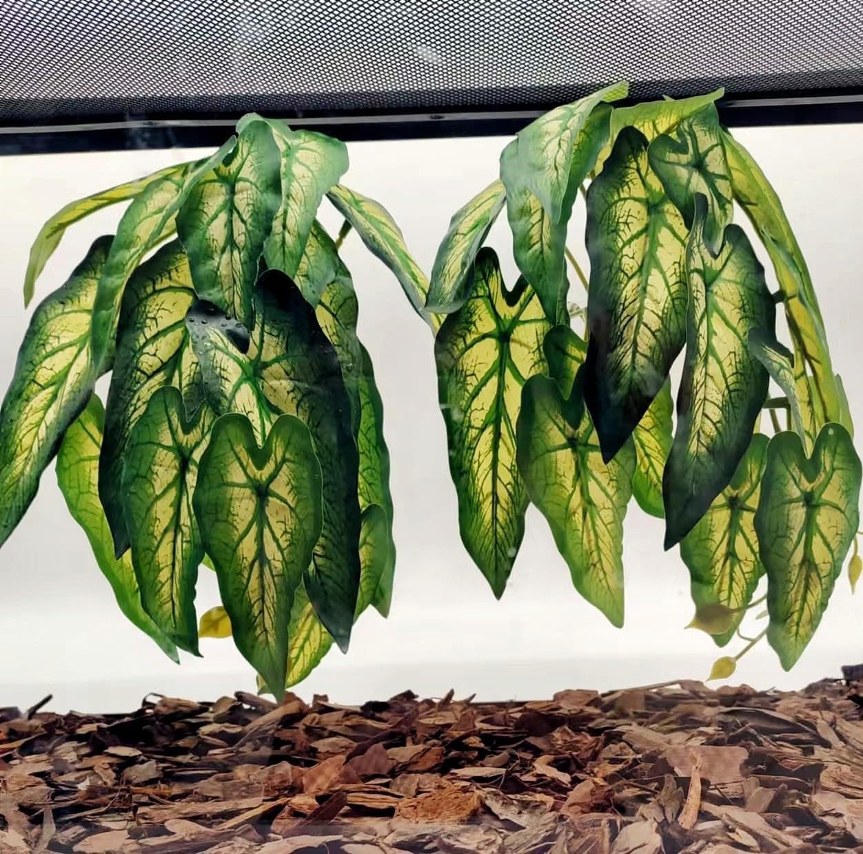 Reptile Plants for Terrarium, Amphibian Habitat Decor Artificial Hanging Plants with Suction Cup, Artificial Plants for Gecko Chameleon Snake Tortoise Tank Accessories. 2-Pack (Alocasia odora-B)