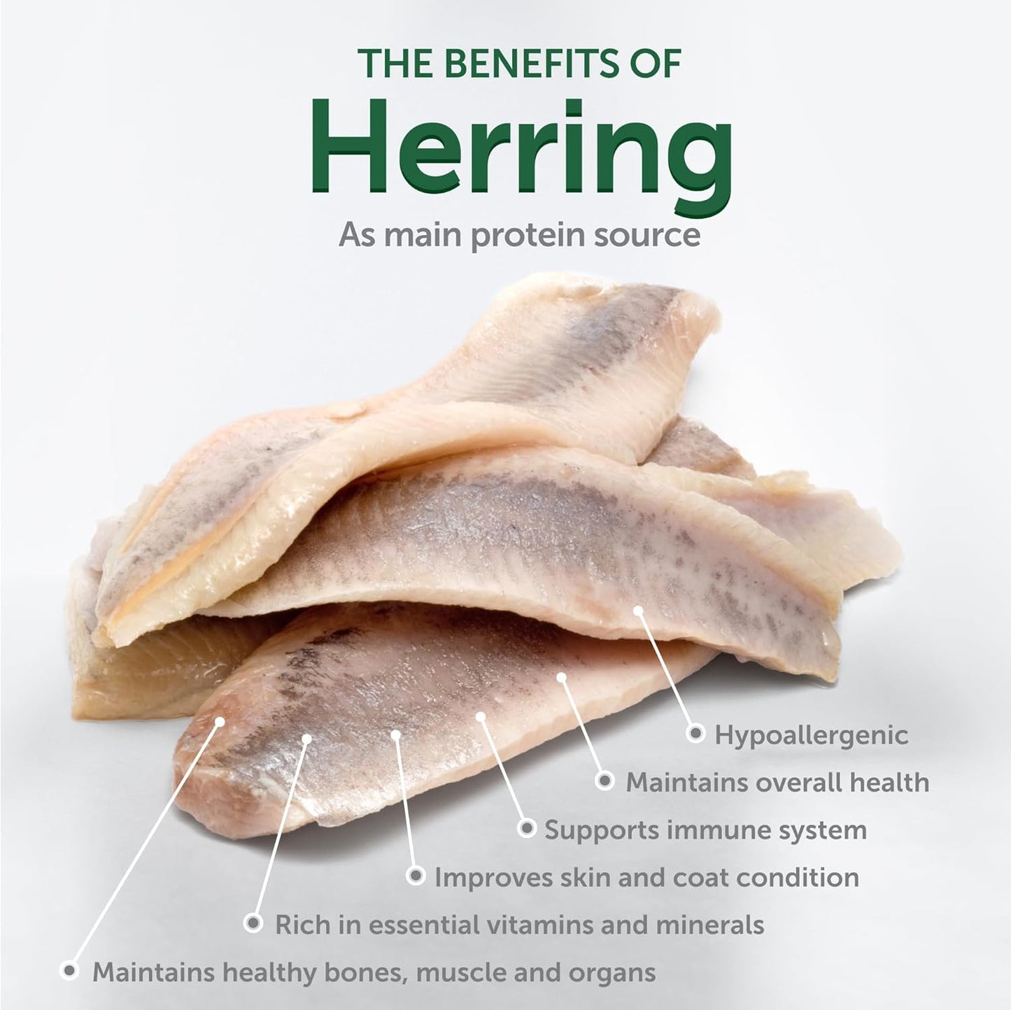 Nature's Protection Superior Care White Dogs Grain-Free Dry Dog Food - High Protein, Tear Stain Dog Food for Small & Mini Breeds Light Coated Adult Dogs, Fresh Pet Meal, Herring, 22 lb