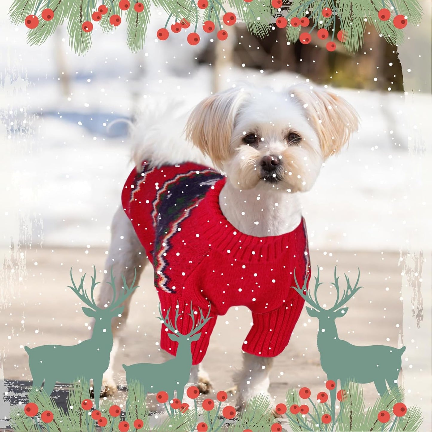 Queenmore Christmas Dog Sweater,Knitted Pullover Christmas Clothes,Turtleneck Dog Xmars Outfit, Warm Pet Sweaters for Small Dogs Boys or Girls M