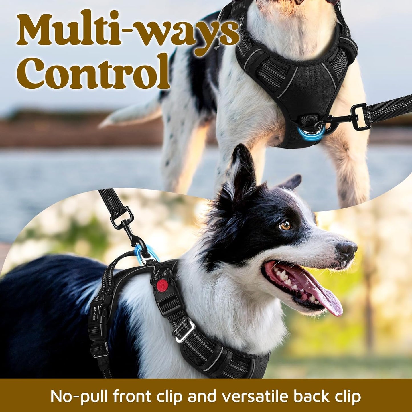 rabbitgoo Dog Harness for Large Dogs, No Pull Pet Vest with 3 Buckles, Adjustable Soft Padded Pet Harness with Easy Control Handle and Reflective Strips, Black, L