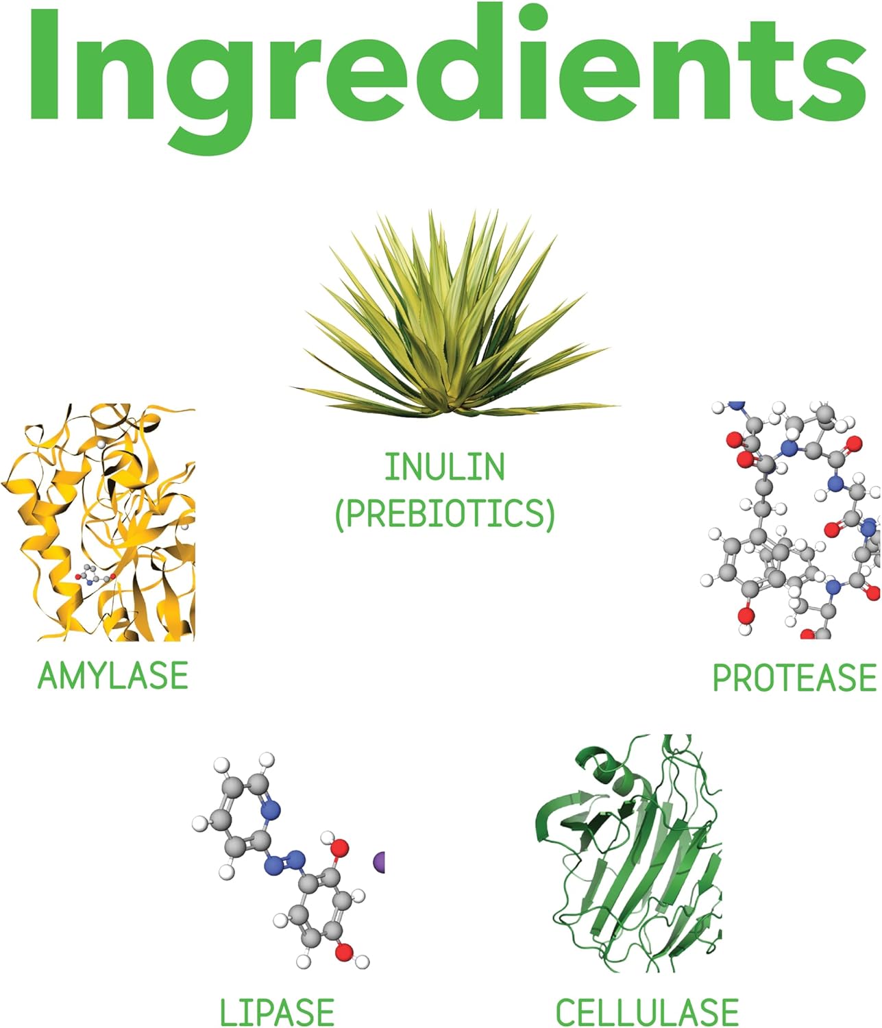 InClover Optagest Natural Digestive Aid, Organic Prebiotics & Enzymes Supplement Powder for Dogs and Cats - Promotes Healthy Stools, Less Gas, Optimal Nutrient Absorption, Intestinal Balance, 7 sticks