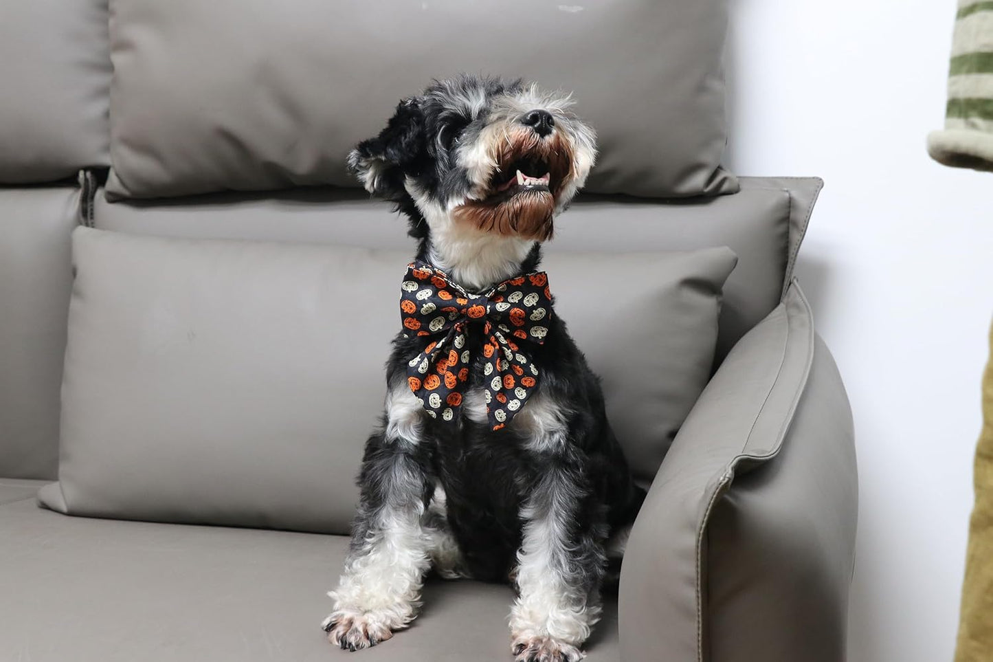 Lionet Paws Halloween Dog Collar with Bowtie - Cute Cotton Adjustable Black Bowtie Dog Collar with Metal Buckle for Small Medium Large Dog Girl Boy Gift, XS, Neck 8-12in