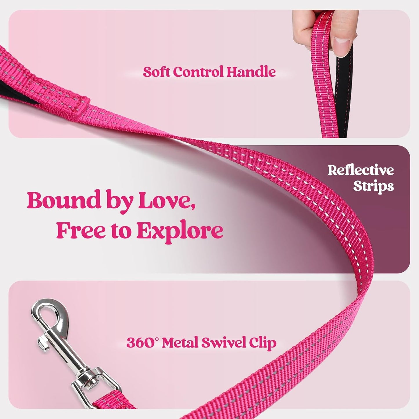 rabbitgoo Dog Harness Small Medium Sized and Leash Set, Step in Soft Light Puppy Vest, Breathable Mesh Pet Harness, Reflective for Safe Easy Walking, Rosa Red XL