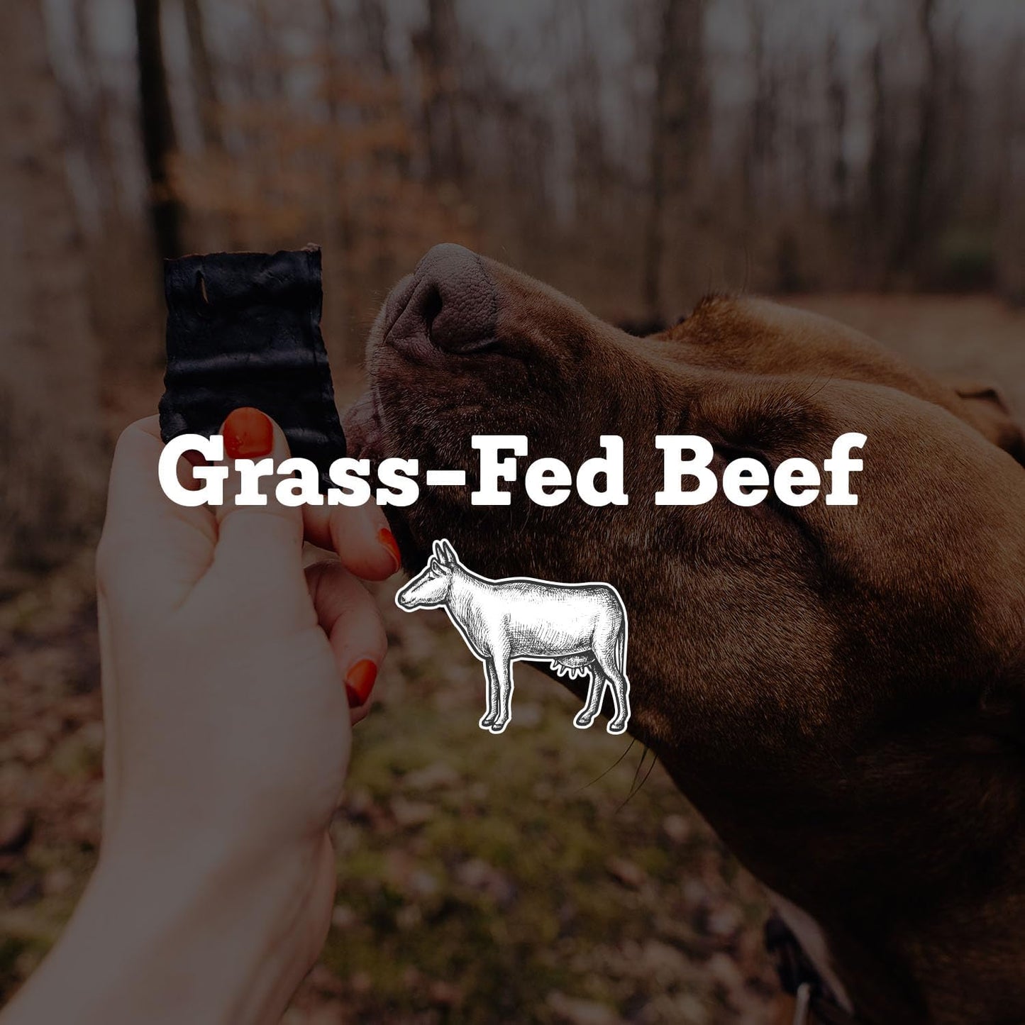 Farm Hounds - Beef Trainers - Premium Natural Beef Jerky for Dogs - Made from 100% Humanely Raised Cattle - Easy-Break - Great for Training & Treats - No Added Fillers - Made in USA - 4.5 oz - 2 Pack