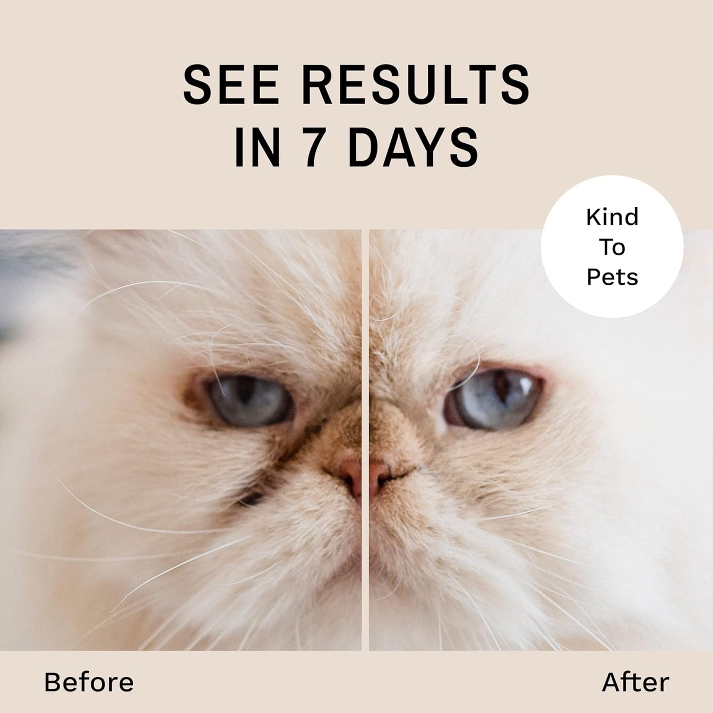 Eye Envy Tear Stain Remover Powder for Dogs and Cats. 100% Natural, Safe. Apply Around Eyes. Absorbs and Repels Tears. Keeps Area Dry. Treats The Cause of Staining. Made in The USA. (.5 oz)