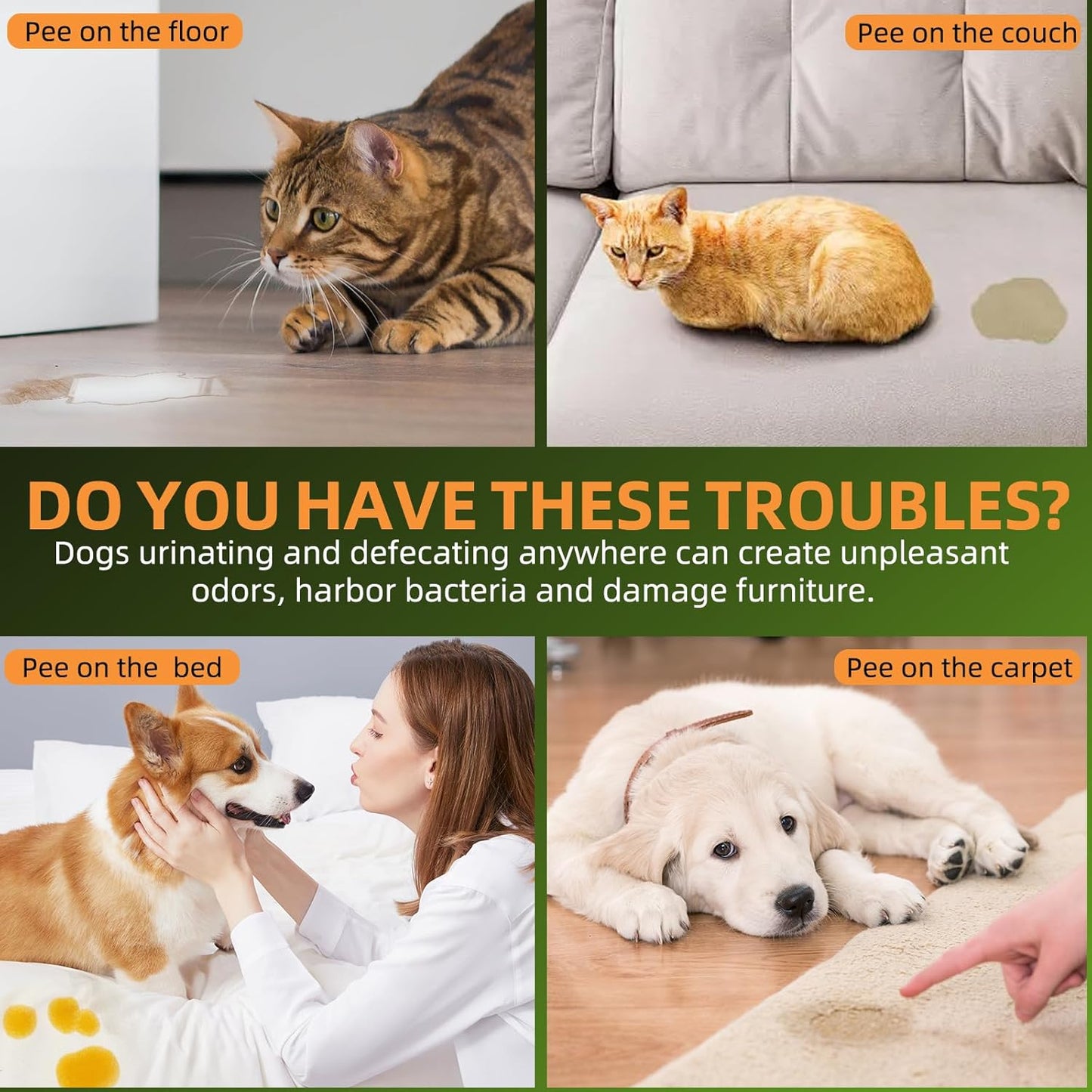 Dog Potty Training Spray for Dogs and Puppies - Go Here Attractant Spray to Pee and Poop in One Spot,Safe & Effective Puppy Pee Spray Indoor & Outdoor-Dog Training & Housebreaking Aid -100ml