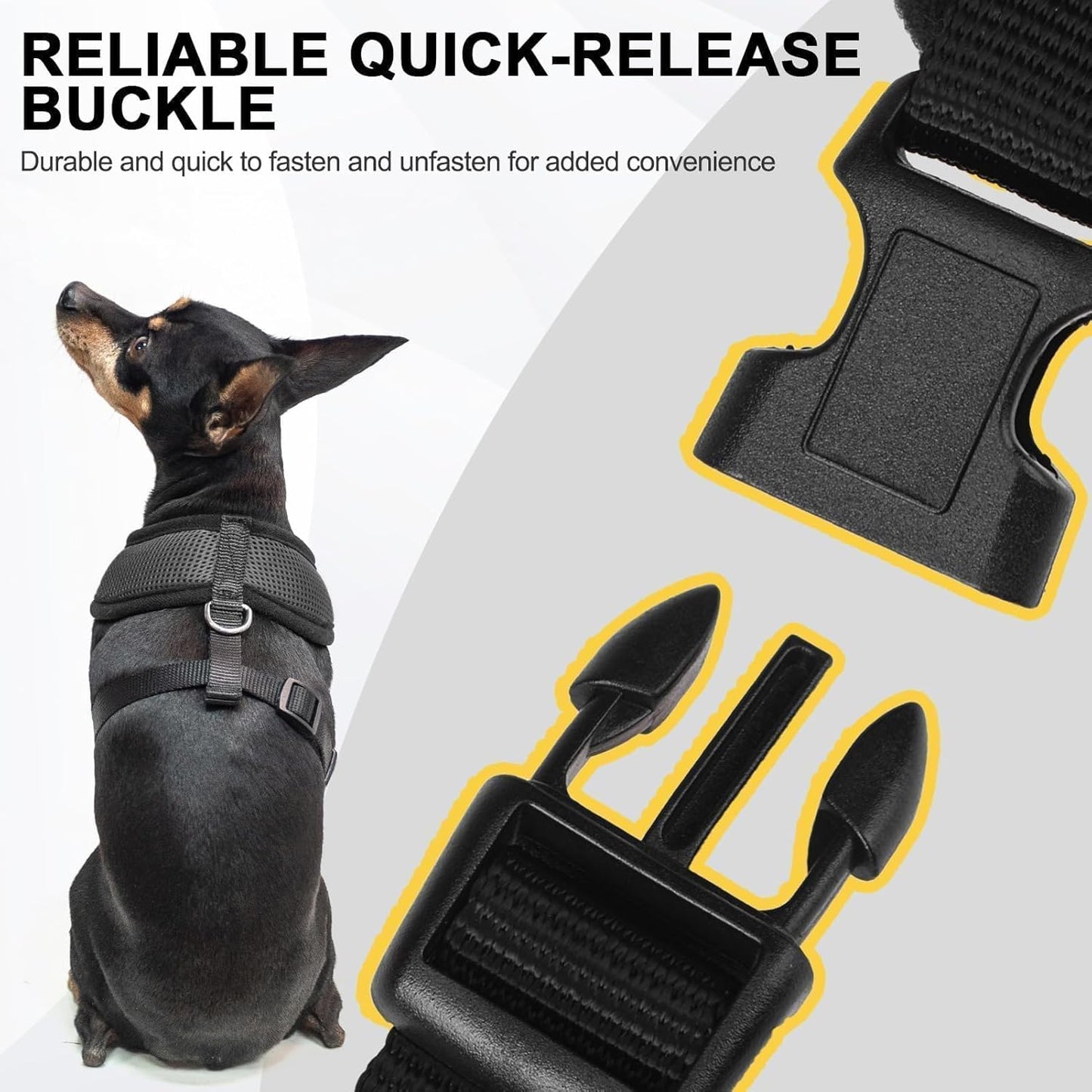 BINGPET Small Dog Harness - Breathable Mesh Puppy Cat Harnesses - No Pull Adjustable Dog Harness Dog Vest Harness for Small and Medium Dogs