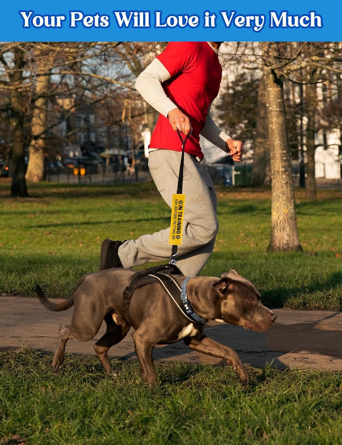 in Training Ask Before Petting Dog Leash Sleeve, Funny Yellow Dog Leash Wrap Alert Hanging ID Patch Tag, in Training Leash Wrap Service Dog Leash Wrap Pet Birthday Gifts for Dog Owners