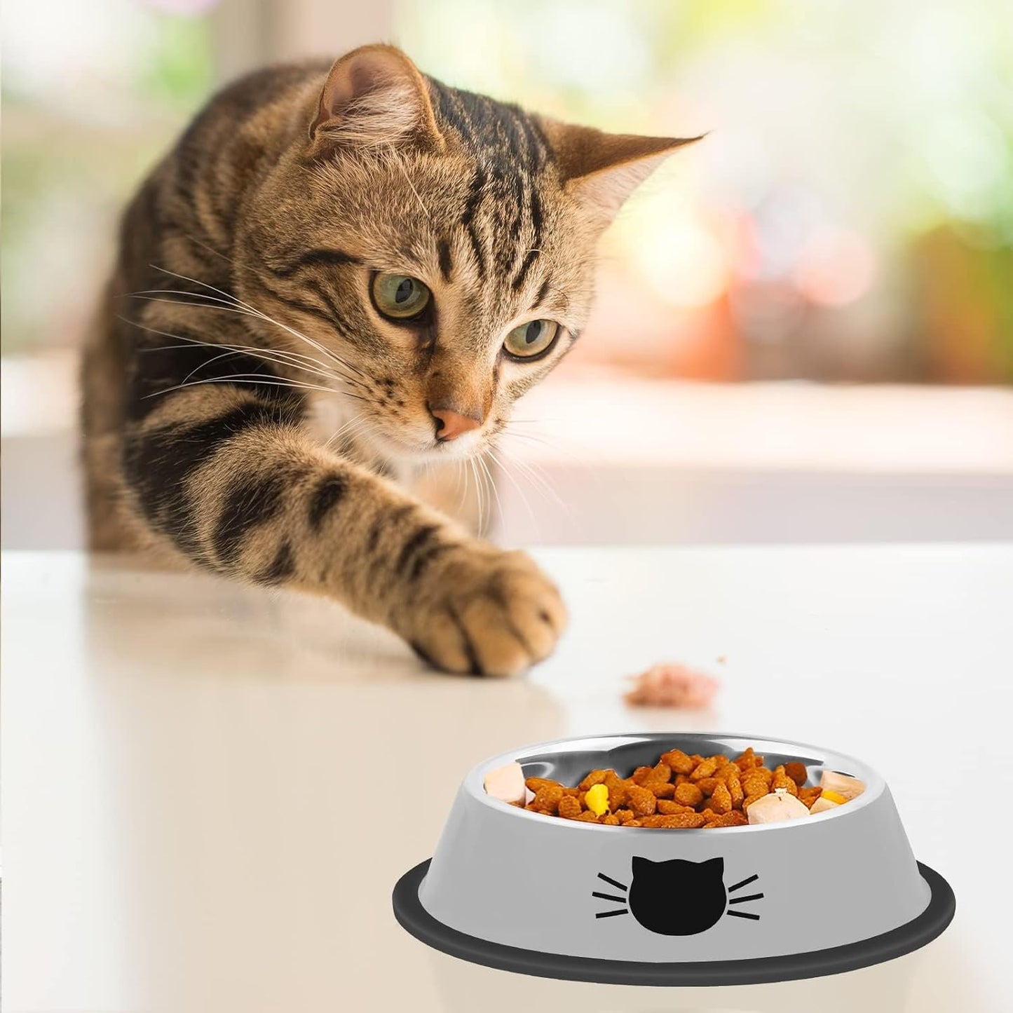 2Pcs Cat Bowls Non-Slip Stainless Steel Small Cat Food Bowl Unbreakable Thick Rubber Base Easily Clean Lovely Color